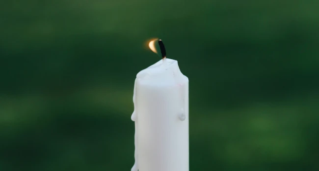 Prekinitev nosečnosti